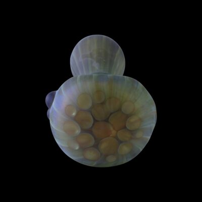 Amazeballs Sandblast Glass Pipe