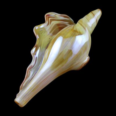 Conch Glass Pipe