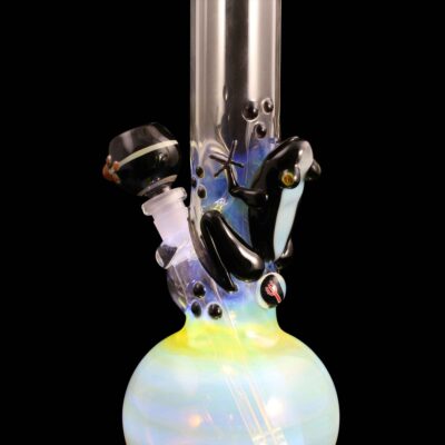 Frog Glass Water Pipe