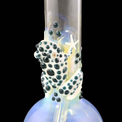 Frog Glass Water Pipe