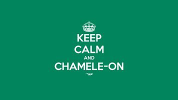 Desktop Wallpaper - Keep Calm and Chamele-on