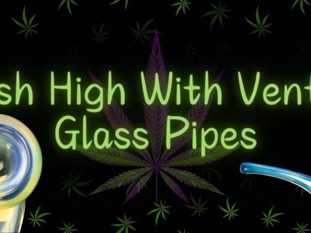 Hash High With Vented Glass Pipes