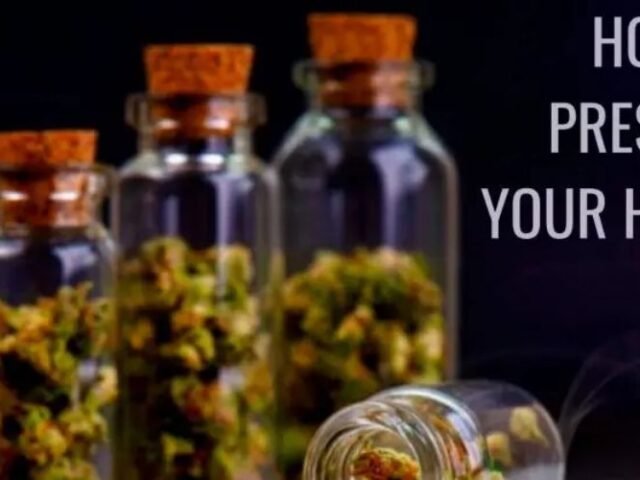 How To Preserve & Store Your Herb