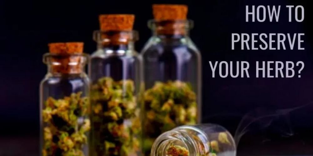 How To Preserve & Store Your Herb