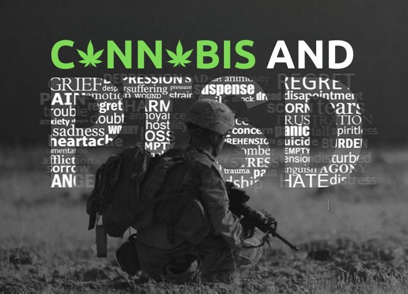 Using Cannabis for Treating Veterans With Post Traumatic Stress Disorder (PTSD) – Could It Help?