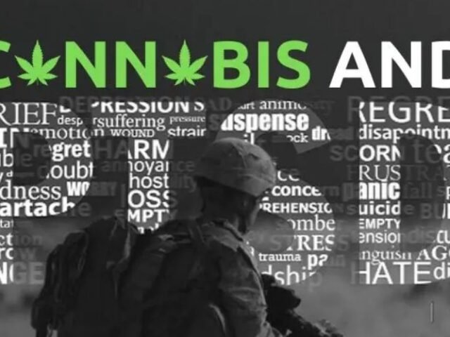Using Cannabis for Treating Veterans With Post Traumatic Stress Disorder (PTSD) – Could It Help